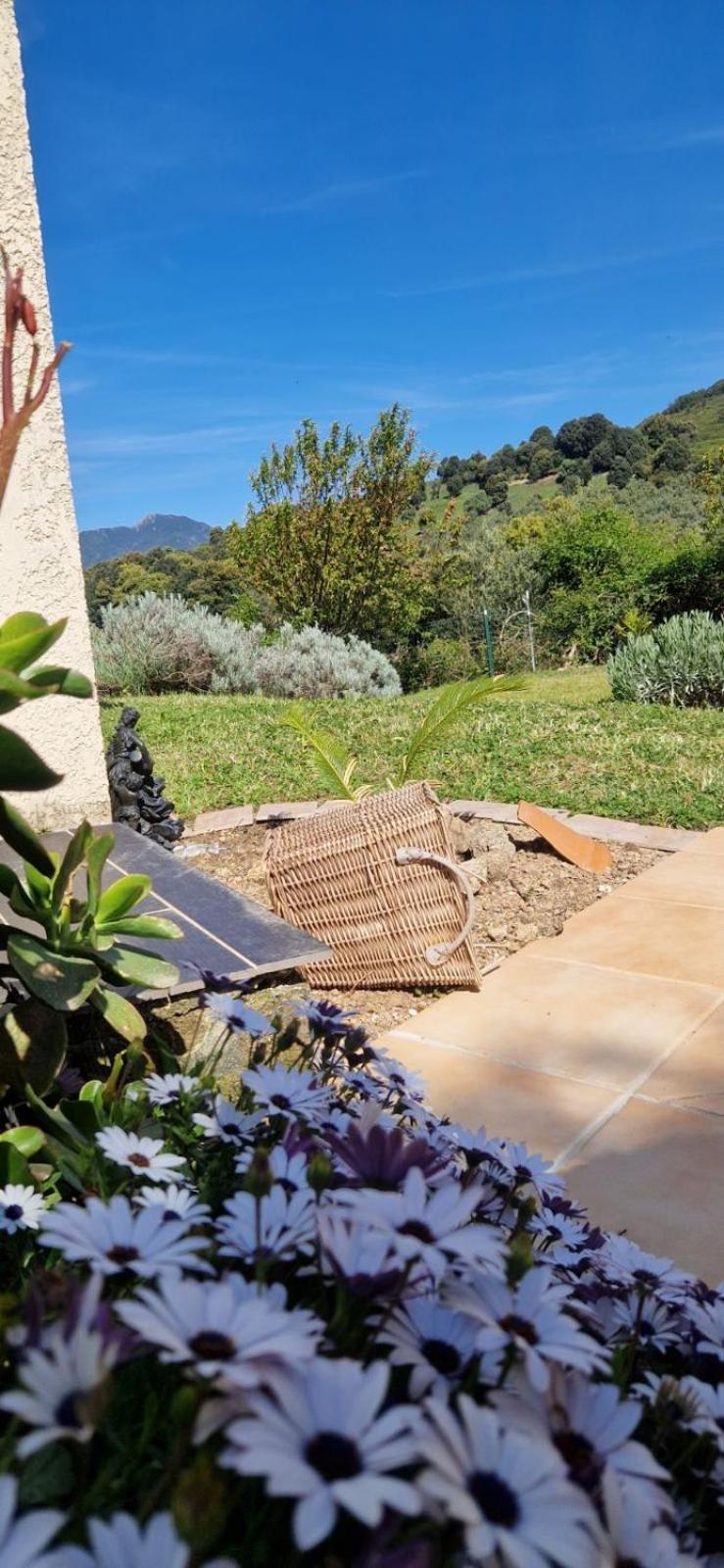 Mare E Monti Chez Thomas Et Magali Bed & Breakfast Vico Bagian luar foto