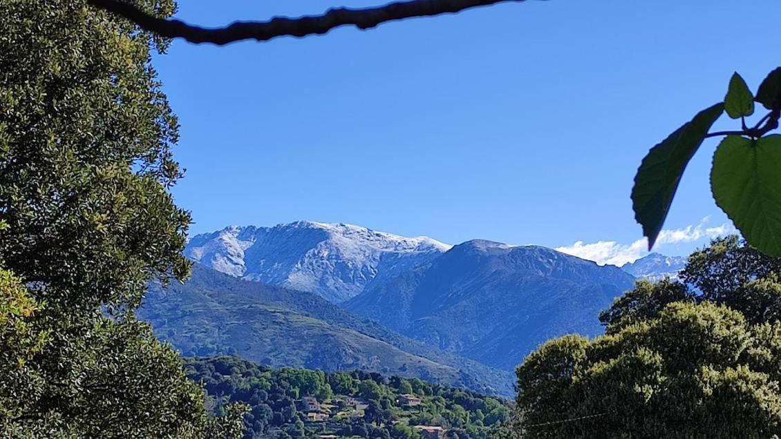 Mare E Monti Chez Thomas Et Magali Bed & Breakfast Vico Bagian luar foto