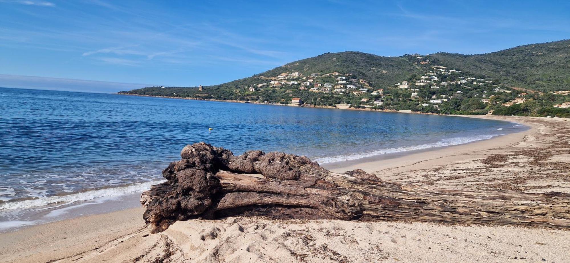 Mare E Monti Chez Thomas Et Magali Bed & Breakfast Vico Bagian luar foto